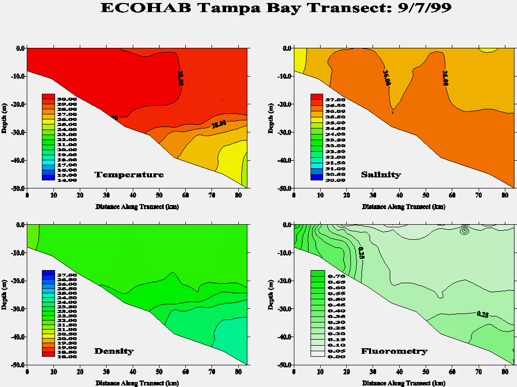 Tampa Transect