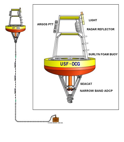 Surface Buoy (with Microcats) Mooring Diagram
