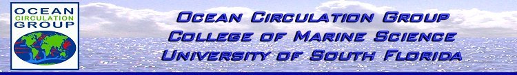Ocean Circulation Group