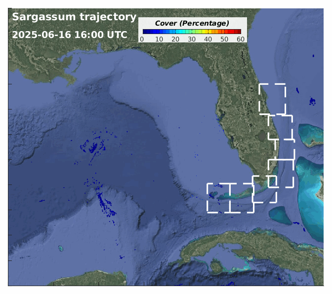 Sargassum Trajectories