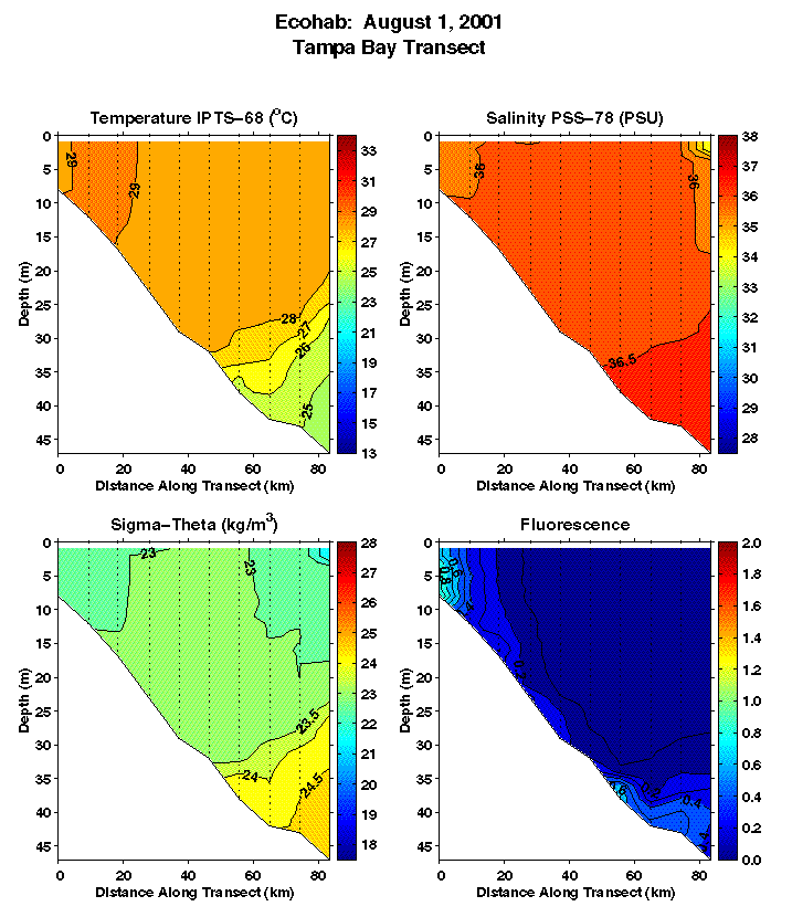 Tampa Transect